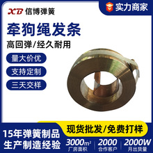 不锈钢窝卷发条 电吹风恒力发条卷簧狗绳牵引器发条弹簧工厂定制