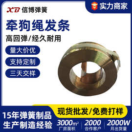 不锈钢窝卷发条 电吹风恒力发条卷簧狗绳牵引器发条弹簧工厂定制