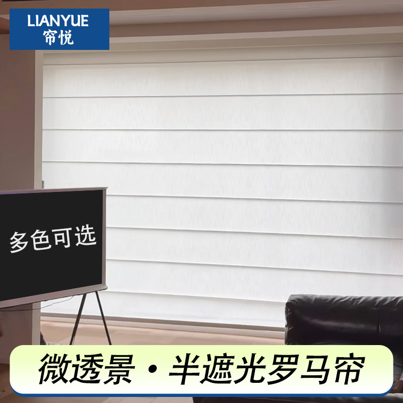 Roman Blinds Custom-Made in Antique Style, Semi-Blackout Roller Blinds for Balcony, Living Room, Shutters, Guesthouse Curtains, Electric Sunshade and Sun Protection