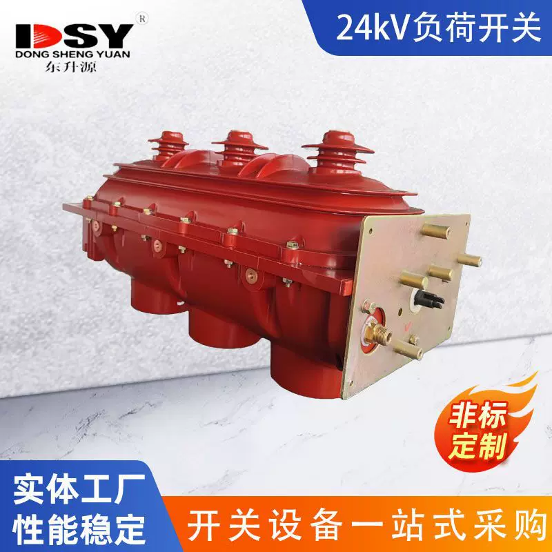 FLN36-24 型 24kV SF6 气体绝缘负荷开关 印尼电网专用 厂家直供