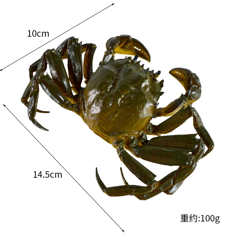 カニのカニの模型をシミュレーションして湖蟹のレストランの実物をシミュレーションして映画とテレビのグループに代わって撮影の道具を撮影します。|undefined