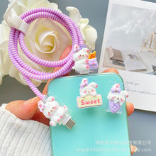 С����ҧ�����m���O���pType-c���������oLighting���^���A�@����