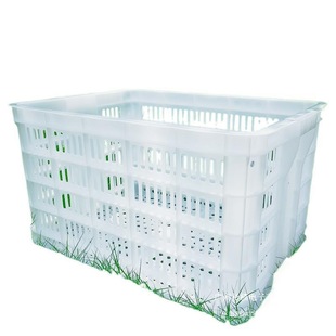 ��ɫ�˻@�ӿ������Ͽ��L���μӺ��̖�U�����D���bˮ���߲˿���