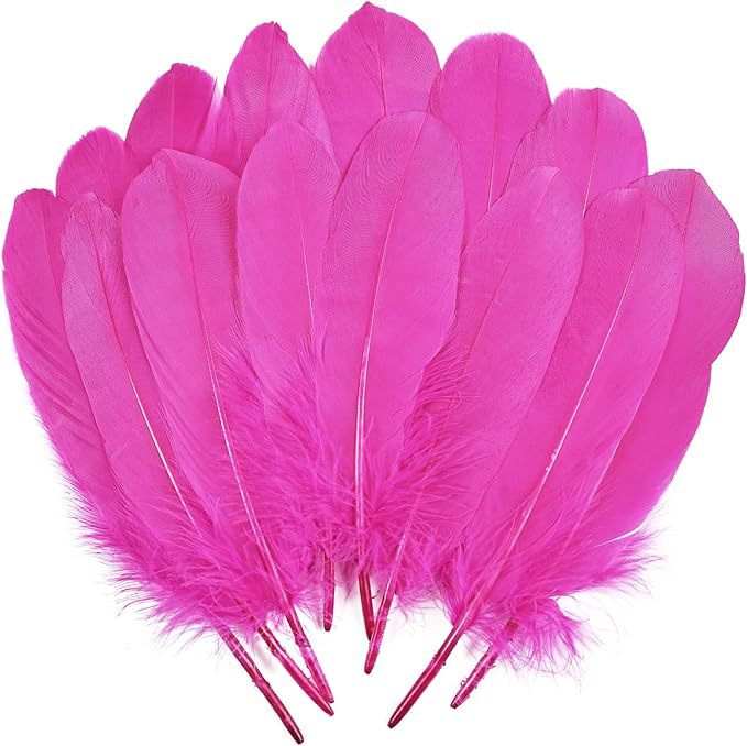 Fabricantes lotes plumas de ganso blanco natural plumas DIY artesanías accesorios de ropa de boda accesorios de decoración artesanal image 17