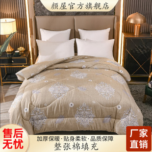 Quilt Thickened Winter Quilt Warm Bed Quilt Core Single Double Winter Cotton Quilt Spring and Autumn Air-conditioning Quilt Student Dormitory
