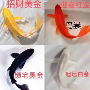 �~�^�p�~�S�\�����~���~�\����ˮ�~С�͵�ˮ�~���B�ͻ���\��