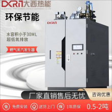 大西燃氣蒸汽發生器天燃氣熱水鍋爐商用電加熱生物質酒店采暖蒸氣