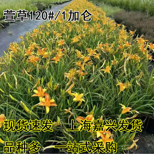 ��Ʒ���|������缪�������\���G������Զ������ͺ��͟��޸���