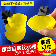 Ԅˮˮˮˮ^pN䌦Bֳ\