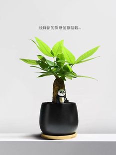 �lؔ���҃����Կ͏d��ꎾGֲ�k�������滨���ļ�������B��ֲؔ��