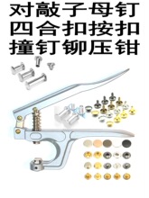 �։��T���C���p��ײ��p�^������ĸ�Tᔰ��b����ģ���T���Q�����Q