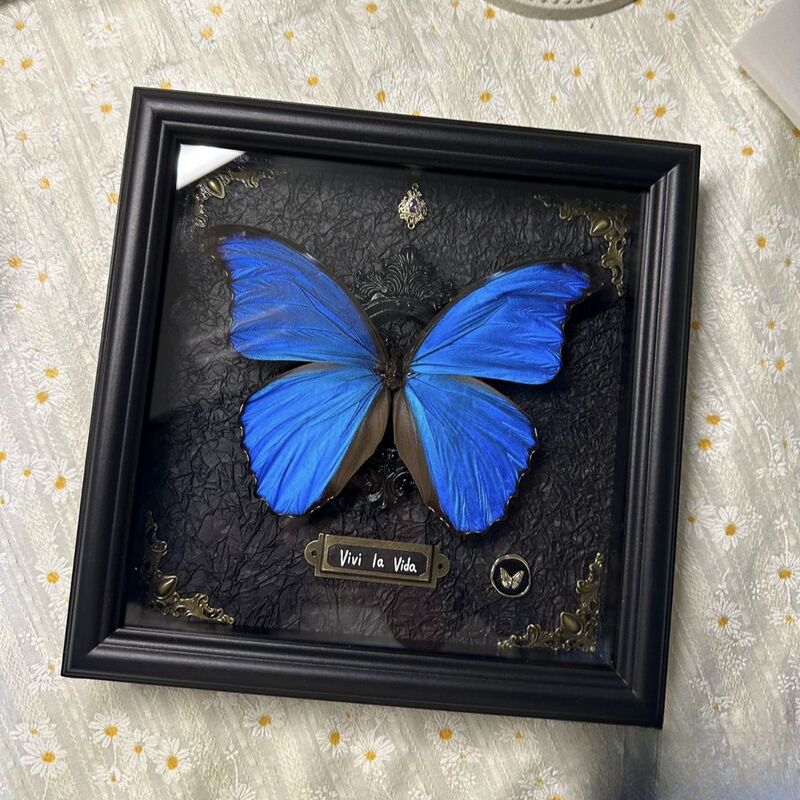 Butterfly Specimen European-Style Photo Frame Real Glass Hollow Stereo Millet Display Color Paper Handmade Insect Square Photo Frame