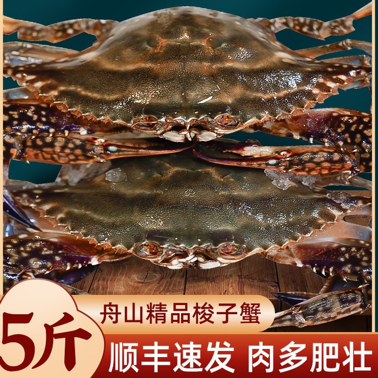 梭子蟹鲜活特大舟山大螃蟹海鲜冷冻海蟹水产飞蟹白蟹顺丰