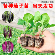 �ļ����������玧�����Լ޽���Ʒ�N���Ѻ��ѷN�Ѵ����߲�������