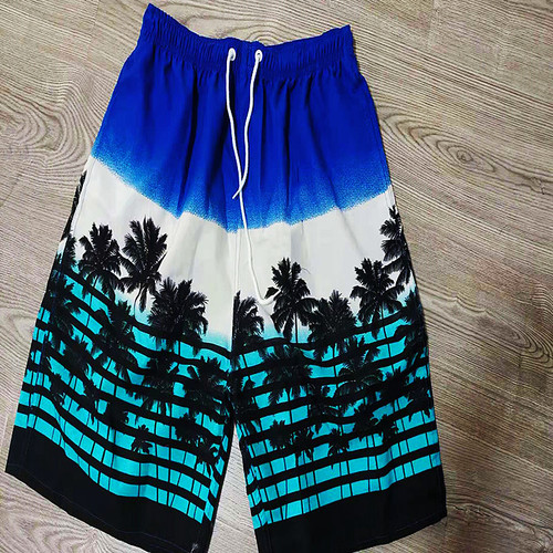 Men's Printed Five-Pocket Shorts Surf Pants Beach Shorts Hot Selling