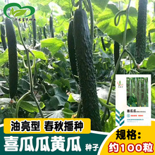 |ϲϹSϷN ˈ@rļ GƤSϷN