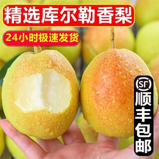 �����½��젖���������rˮ����������10�ﮔ��ĸ�������]