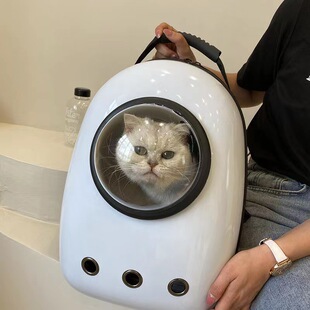 ���l؈���¿������y͸���p�猙��̫�հ�������͸��؈�䌙���