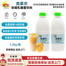 【1.2kg】克菲尔浓缩乳酸菌饮料瓶装6倍浓缩全面发酵1.2kg库米思