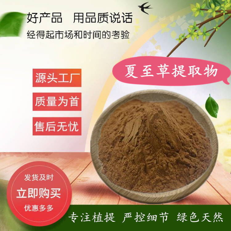 夏至草提取物  水溶夏至草粉   植物浓缩小益母草提取物 源厂货源