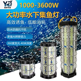 LED集鱼灯;手电筒;金卤灯