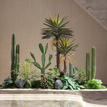 ����Gֲ�҃Ș������쾰���������Ɣ[���D�����Ծ��^ֲ���쾰�b�