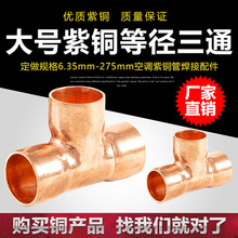 ����������~��ͨT�ͽ��^���{�~����ͨ�~�ܽ��^�~���^�Ͻ��^