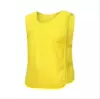 Yellow net eye model