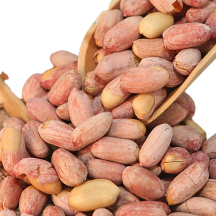 �����Sһ�����l���濾�������㻨����ɽ�|�خa���e���̳�؛��ʳ