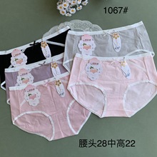 1067β��������͸���׷�Ůʿ�����ڿ������±���������ֱ����̯