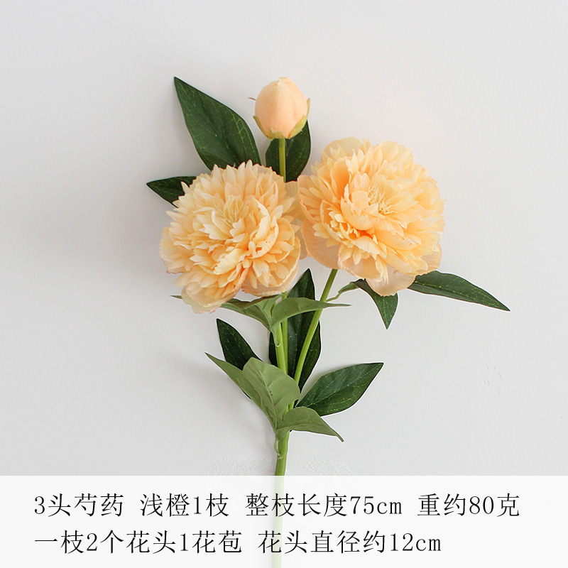 라이트 오렌지