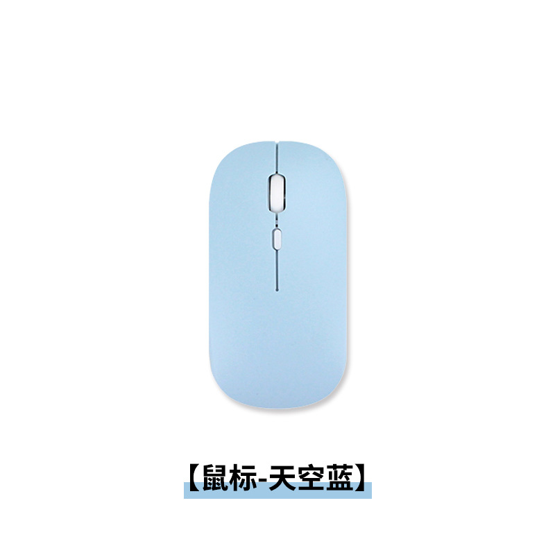 마우스-스카이 블루