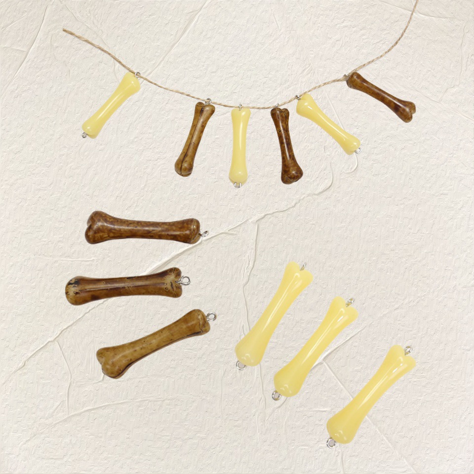 骨头有孔 (2).jpg