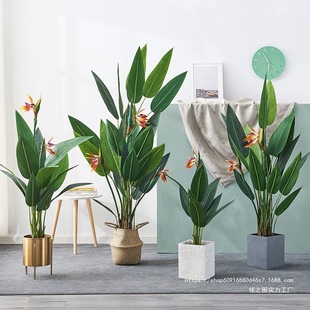 Wֲb˽GֲԔ[҃ȿ͏dBl