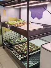 ���⻨��ˮ�۽�ˮ�P�K��������Ӻ����m�FƤʯ��չʾ������������