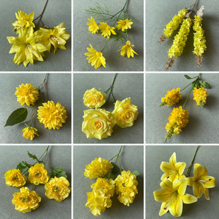 �Sɫ��c���Ļ�ˇ��Y·�����Ų����b���õ��ĵ���ٻ�����