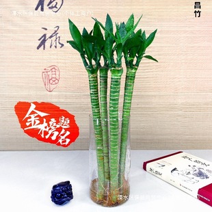 ���^�Ĳ���4֧��������ˮ�B���F���D�\�񹝹���ˮ��ֲ���҃ȿ͏d