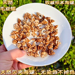 ��Ȼë���ݺ����~���쾰�b��׃�diy�ֹ�Ư��ƿ���ϼľ�з��Q��