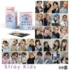 Stray Kid, 50 шт.