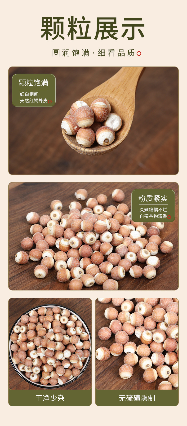 Dried Gorgon Fruit Qian Shi 500g Organic Red Skin Euryale Seeds for Congee and Soup quality and texture