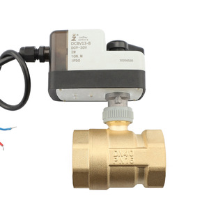����DCBV13-21�ɾ�24V����һ�w늄Ӷ�ͨ��늴��yˮ�_�y220V�~�y�T