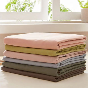 Single Piece of Bed Sheets Manufacturer Direct Sales Color Bed Sheets Wind Kang Single Student Dormitory Skin-Friendly Brushed Thickeneded Manufacturer Approval
