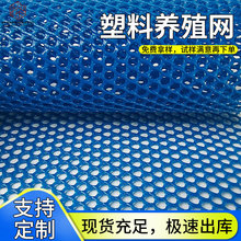 免费打样加厚水产生蚝养殖网家禽养殖育雏隔离网鸡鸭漏粪网塑料网