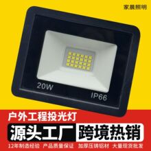 户外工程投光灯定制50W100W大功率庭院泛光灯足瓦小苹果led投光灯