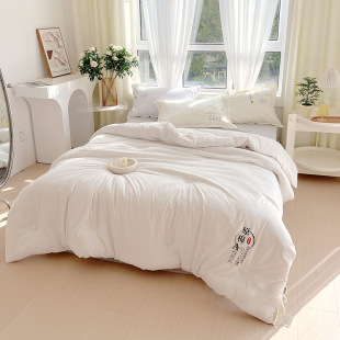 Class a Maternal and Infant Grade Raw Cotton Soybean Quilt Summer Air-Conditioned Quilt Thickeneded Winter Quilt Core Four-Season Quilt Wholesale Quilt Student