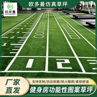 厂家直供健身房草坪私教区hyrox功能区仿真草皮雪橇训练毯可定制