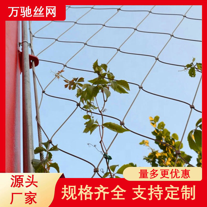 304不锈钢绳网绿植攀爬钢丝绳网植物园艺爬藤网城市绿化墙壁网