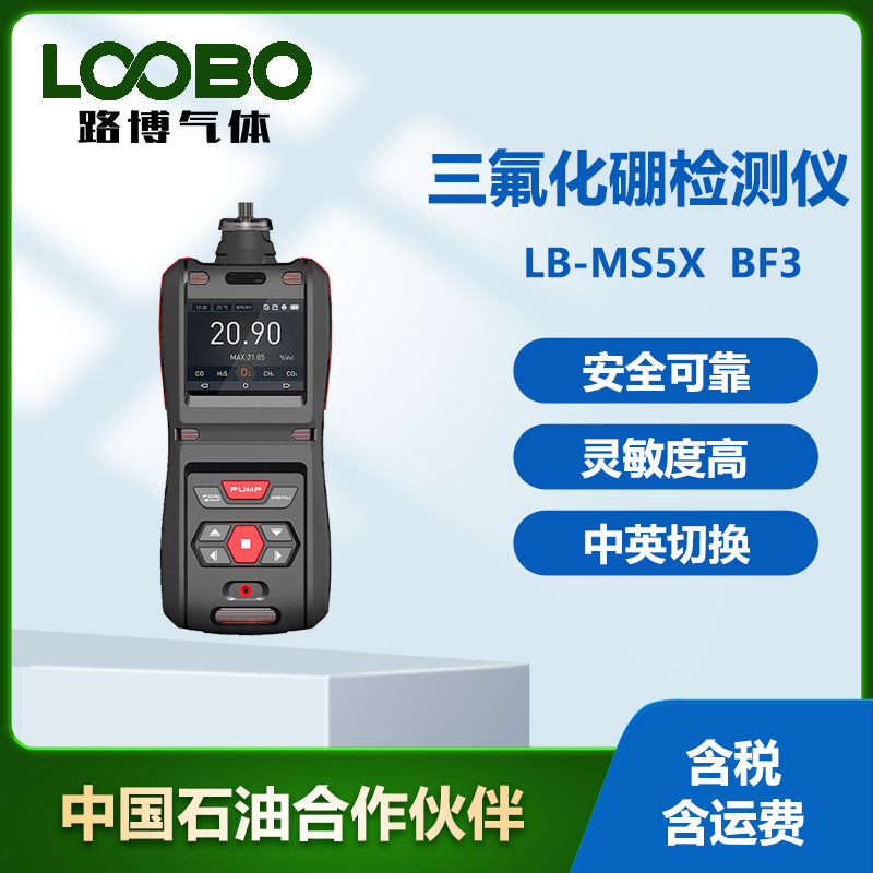 便携式三氟化硼检测仪 手持泵吸式有毒气体浓度分析仪 报警器