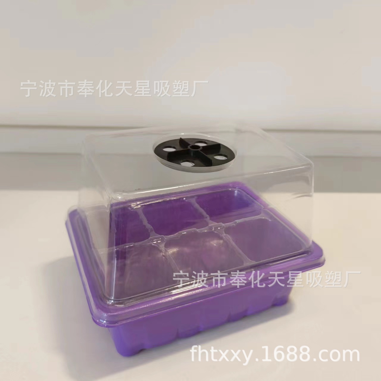 공기 구멍이 있는 보라색 바닥 6홀 투명 구멍과 높은 뚜껑