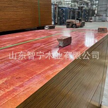 1220 ľģ�幤�̽��B��ȩ�z�ϰ� �tģ�������ɳ��� �����D